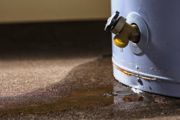 Best Water damage restoration company  in El Dorado, AR