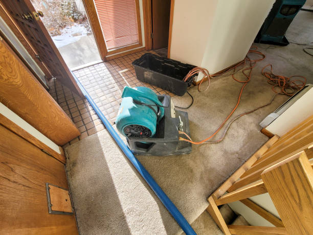 Best Flood restoration services  in El Dorado, AR