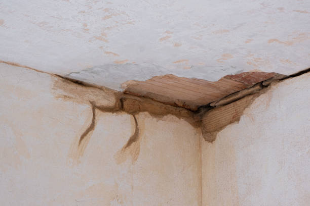 Best Flood damage cleanup  in El Dorado, AR