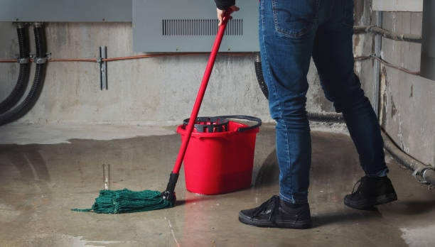 Best Ceiling water damage repair  in El Dorado, AR