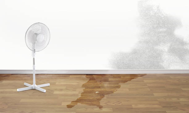 Best Local water damage restoration  in El Dorado, AR