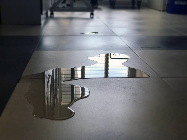 Best Water damage restoration near me  in El Dorado, AR