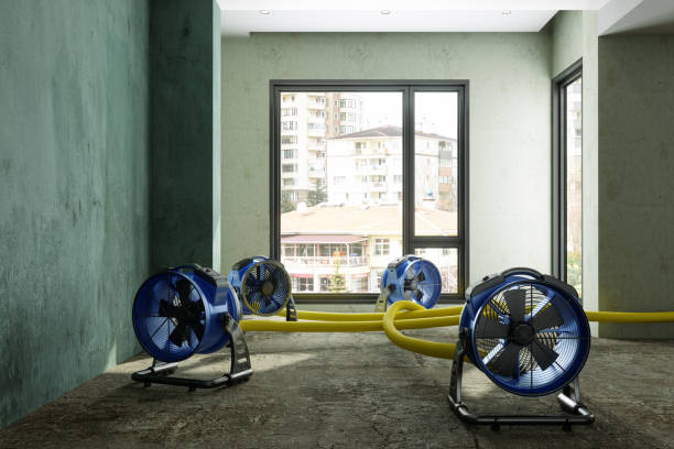 Best Basement water damage restoration  in El Dorado, AR